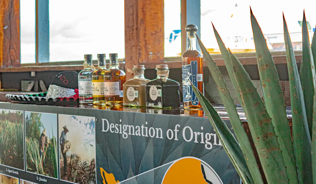 Background image for about us of Tequila Tasting in Cancun